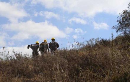 Desde julio hasta la fecha, el fuego ha ocasionado la pérdida de 4.713 hectáreas de cobertura vegetal en 862 eventos presentados a escala nacional.