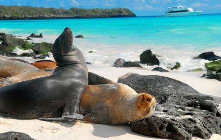 Un acuerdo permitirá potenciar el turismo entre Ecuador y Francia