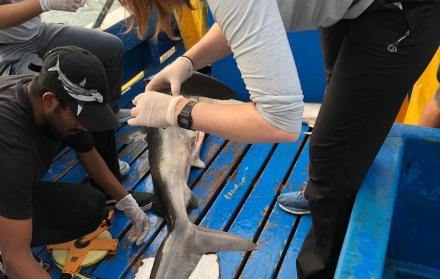 Las autoridades informaron que se mantienen los controles para prevenir, desalentar y eliminar la pesca ilegal.