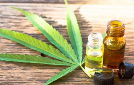 El cáñamo es un derivado noble del cannabis, que tiene un gran potencial para desarrollar en Ecuador múltiples industrias.