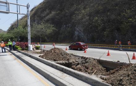 Los trabajos empezaron la mañana de ayer con el retiro de las plantas que estaban ubicadas en el parterre de la avenida Modesto Apolo.