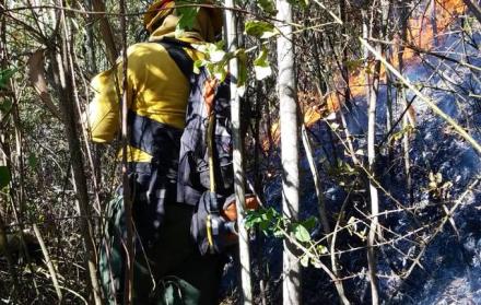 Este viernes 13 de septiembre, el Cuerpo de Bomberos de Quito realizó labores de combate y extinción en incendio forestal registrado en el cerro Auqui.