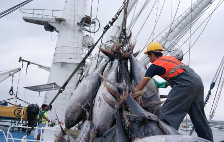 Pesca de atún en Ecuador.