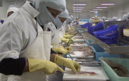 Negocio. La compañía produce también tilapia de exportación, así como mangos que vende a EE. UU.