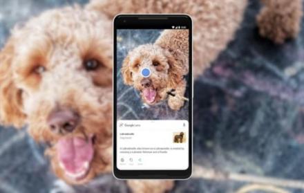 Google Lens puede ‘leer’ el mundo