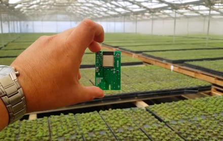 Nubox Node. Es la primera de ocho modelos de tarjetas que pueden censar, analizar, enviar data y automatizar procesos productivos. Esta primera versión apunta al agro y la acuacultura.