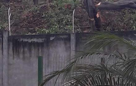 El corte de árboles en los amplios terrenos del hospital indigna a los vecinos.