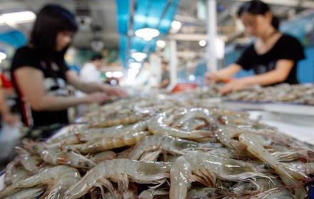 Camarón es el primer producto de exportación de Ecuador