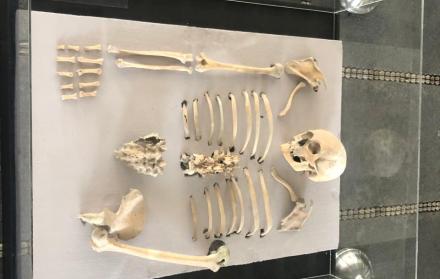 El esqueleto de una mujer centenaria es la principal muestra de cultura en la exposición del Instituto de Patrimonio en Memoria del Distrito Metropolitano de Quito.
