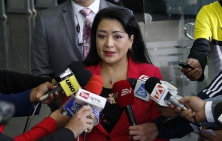 Anuncio. María del Carmen Maldonado habló en los pasillos del Consejo.