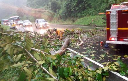 Tras la caída de los árboles, las ramas cubrieron la calzada.
