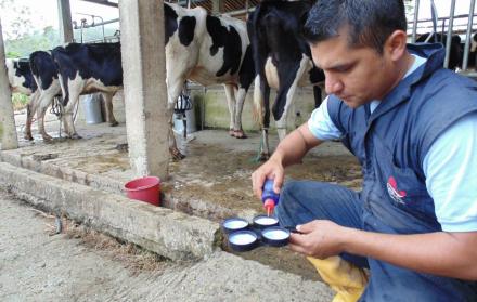 Los productores creen que las pérdidas continuarán si no se realizan cambios.
