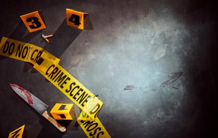 600 homicidios de entre 2010 a 2012 están registrados en la base de datos. Cada año hay 2 millones de delitos en España.