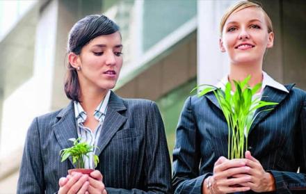 La envidia se registra en diferentes partes del cerebro, una de ella es la corteza prefrontal, que se desarrolla durante la juventud.