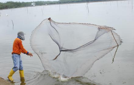 Las autoridades del país asiático han advertido que no cederán ante su nueva política de Estado.