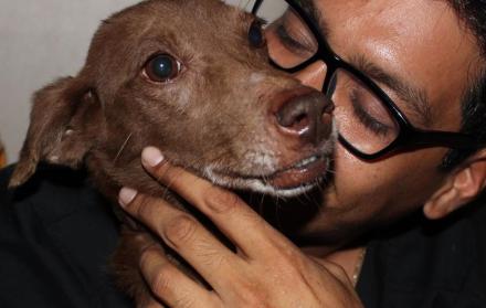 Luis Vera, el ángel de la guarda de los animales callejeros