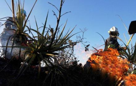 El Ministerio de Ambiente considera al 2018 como “el año más critico en materia de incendios forestales” a escala nacional.