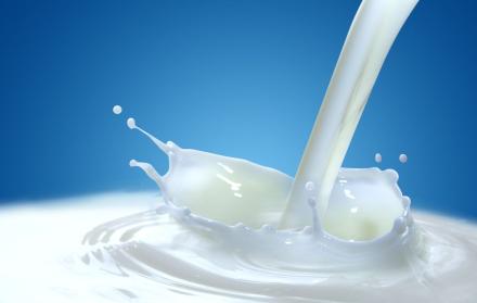 La agrupación dice que el Gobierno debe centrarse en los problemas estructurales que tiene el sector lácteo del país y que lo vuelven poco competitivo.