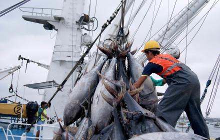 Trabajo. La actividad de la pesca en Manabí se desarrolla con normalidad y observando los reglamentos.