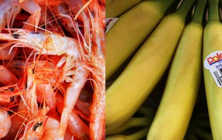 Hay dos diferencias clave entre el sector camaronero y el bananero en Ecuador.