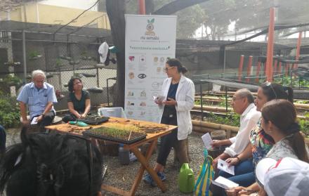 Actividades realizadas en honor a la Fundación de Guayaquil.