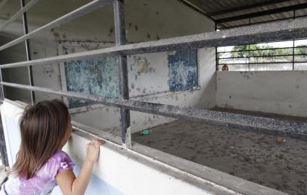 Deterioro. Así luce la escuela 25 de Junio, del recinto Palo Alto, del cantón Daule, cerrada hace cuatro años.