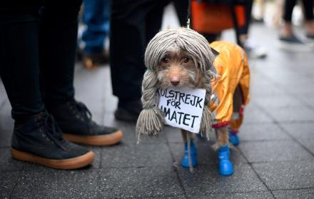 Este perro estaba vestido como Greta Thunberg con un cartel que decía ‘Huelga escolar por el clima’.