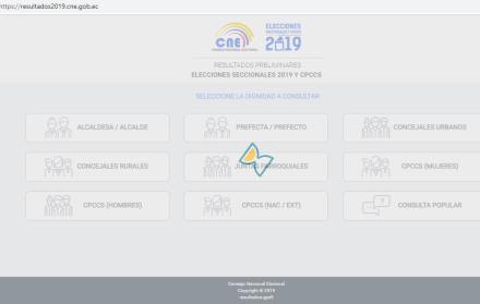 Falla en la web del CNE, un problema que se pudo prever 