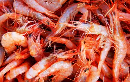 El camarón ecuatoriano se toma Asia