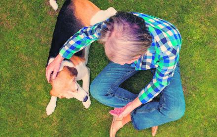 Perros, aliados contra los trastornos mentales