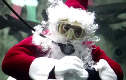 Santa Claus se sumerge en el acuario de Guadalajara