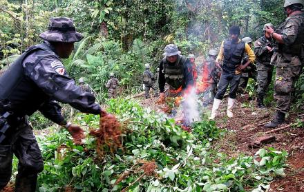 En Colombia, principal productor mundial de cocaína, había 209.000 hectáreas sembradas con hoja de coca en 2017, según un informe estadounidense divulgado a fines de junio.