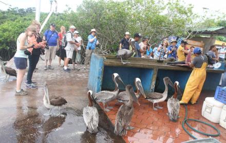 El archipiélago fue declarado Patrimonio Natural en 1978.