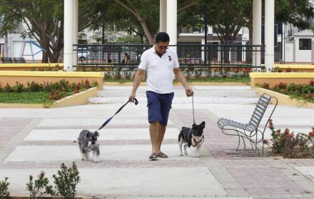 Paseo. Un vecino saca a sus mascotas al mismo parque donde se presume otros canes fueron envenenados.