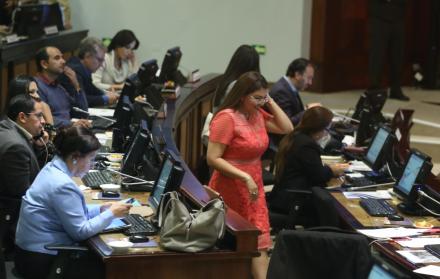 Respaldo. El apoyo de los correístas fue insuficiente pasa salvar a la legisladora Sofía Espín. Ella no ve problema en visitar a una testigo del caso Balda.