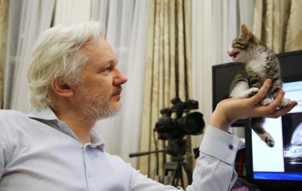 Assange permanece en la embajada de Ecuador en Londres desde 2012. 
