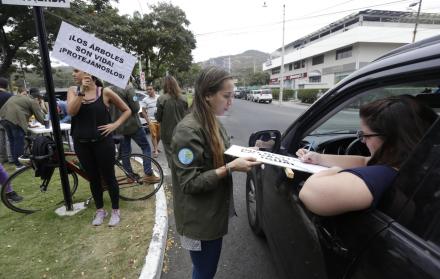 En agosto pasado, vecinos de la urbanización junto a activistas de Fundación La Iguana recogieron firmas para solicitar que no se tale el samán que está dentro del terreno donde se iba a levantar el centro comercial, uno de los muchos reparos de los morad