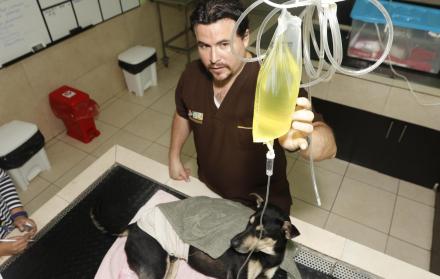 Atención. Brauny será operado hoy y los médicos esperarán de 10 a 15 días para saber si presenta mejoría.