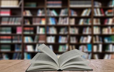 Referencial. Las mallas curriculares pasan por revisión continua de expertos. 