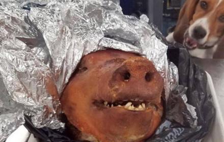 En EE. UU. se prohibe el ingreso de carne de cerdo y productos derivados del mismo. (Imagen: Fox 5)