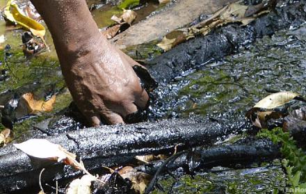 Caso. Los demandantes ecuatorianos aseguraron que la petrolera de EE. UU. causó daños en la Amazonía.