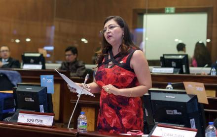 Sesión. La asambleísta Sofía Espín es acusada de burlar la seguridad para ingresar a un centro de rehabilitación