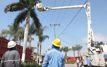 Labor. Para evitar posibles daños en los cables, personal de CNEL podó las palmeras en Ciudad Celeste. 