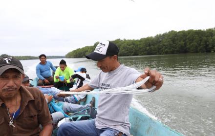 800 personas más o menos viven en Cerrito de los Morreños, una población a la que se puede llegar solo a través del río Guayas.