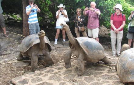 Turistas en Galápagos.