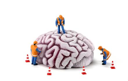 5 hábitos que estimulan sus neuronas