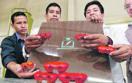 Plantilla. Luis Pilacuan (segundo desde la izq.), junto a parte del equipo que desarrolló el proyecto.