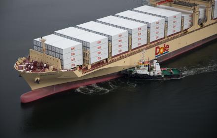 Poder. El banano es la carga más importante de los puertos nacionales y las navieras. Dole es la mayor empresa radicada en el país.