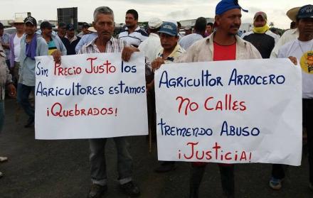 Los arroceros exigen un aumento en el precio el arroz.