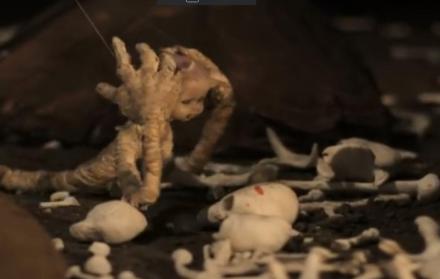 El ‘Niño Caníbal’ ganó en festival de cine